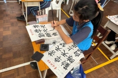 WhatsApp-Image-2025-11-10-at-9.35.04-AM